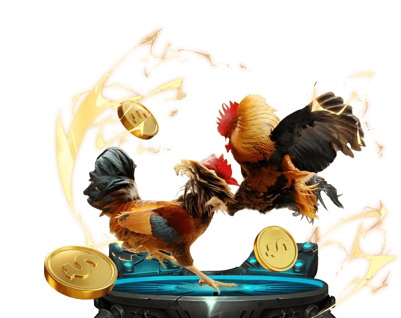 Hướng dẫn đặt cược đá gà EV99